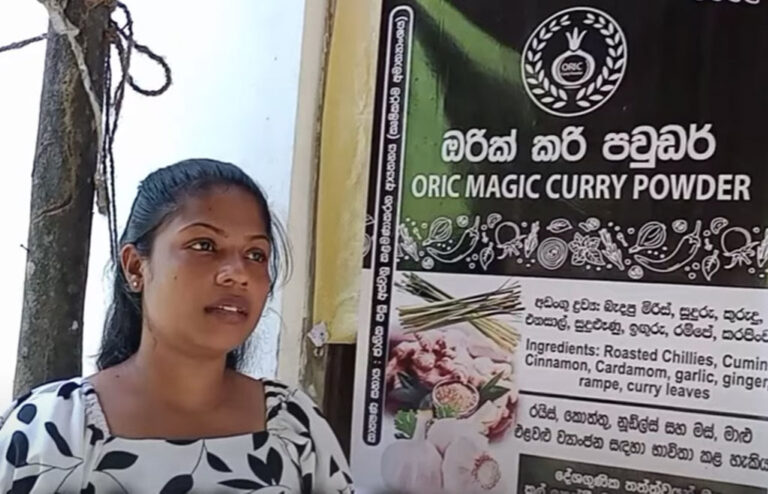කෘත්‍රිම ආහාර රසකාරක සහ සුප් කැට වෙනුවට ස්වභාවික රසකාරයක් නිපදවන වන්නි හත්පත්තුවේ තිලිණි