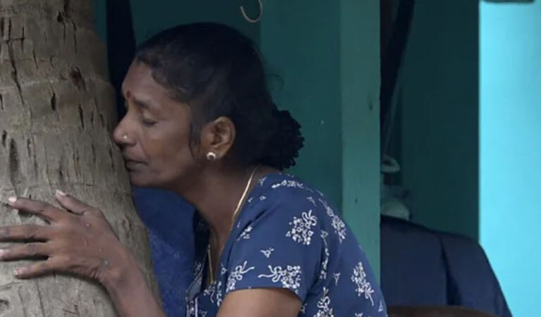‘මේ පොල් ගහ මගේ දුව කියලා හිතලා තමයි මම ඉන්නේ