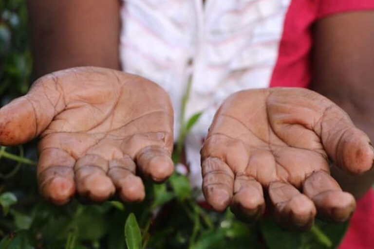 විදේශ විනිමය, වාහන ආනයනය හා ශ්‍රමිකාවියෝ | කුසල් පෙරේරා