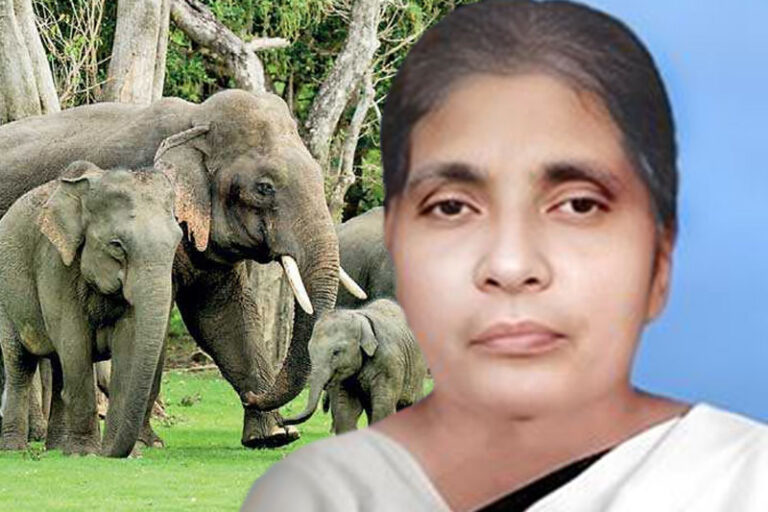 වන අලින් මැද මළ මිනියකට තනි රැක්ක ග්‍රාම නිලධාරී රොසලින් නෝනා  