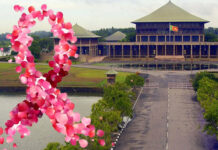 හෙට මන්ත්රීවරියන් රෝස පැහැ ඇඳුමෙන් පාර්ලිමේන්තුවට