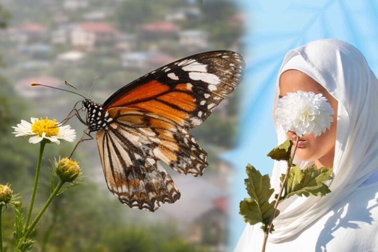 නෙකා නගරයේ පියාපත් සිඳුණු සමනලිය