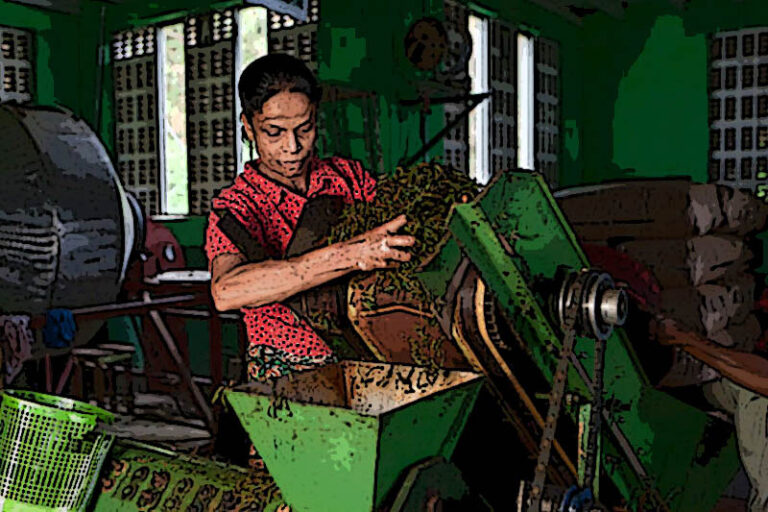 රාක්ෂාව (26 කොටස): රාසම්මාට අලුත් රැකියාවක් | ඉන්දු පෙරේරා